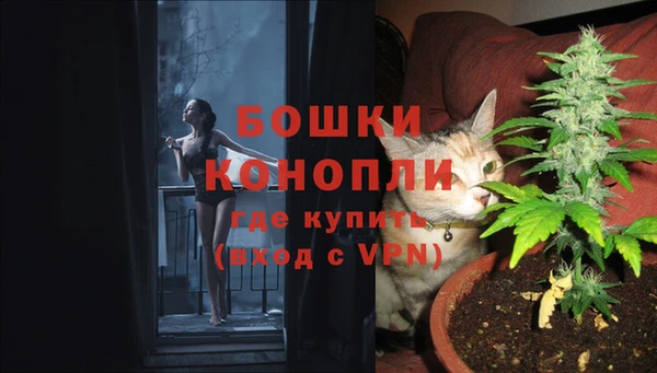 шишки Армянск