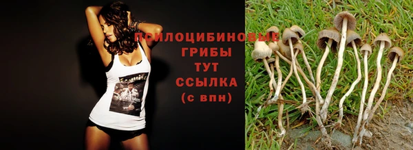 mdma Арсеньев