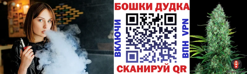 купить  сайты  Менделеевск  Бошки Шишки ГИДРОПОН 